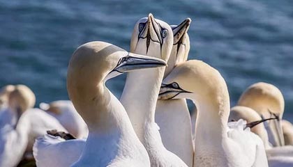 MK体育登录入口-孙杨队医作证：我要求留下血样 阻止检查人员拍照